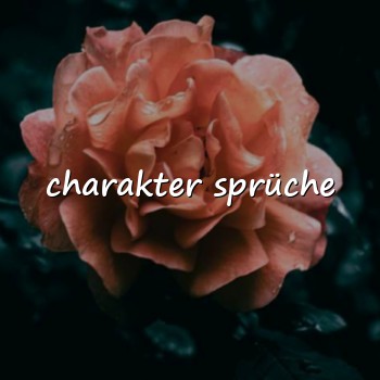charakter sprüche - 2026