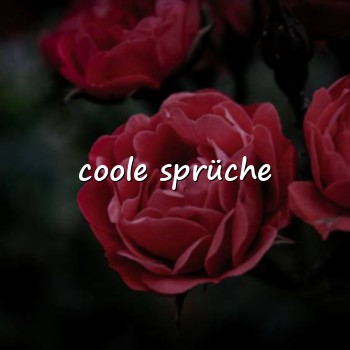 coole sprüche - 2026