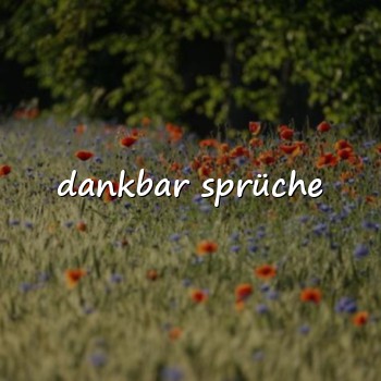 dankbar sprüche - 2026