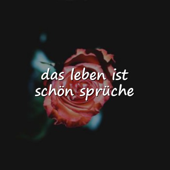 das leben ist schön sprüche - 2026