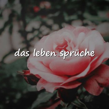 das leben sprüche - 2026