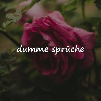dumme sprüche - 2026