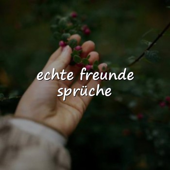 echte freunde sprüche - 2026