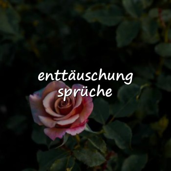 enttäuschung sprüche - 2026