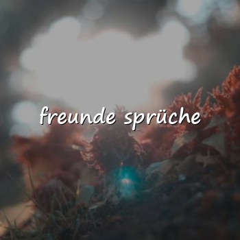 freunde sprüche - 2026