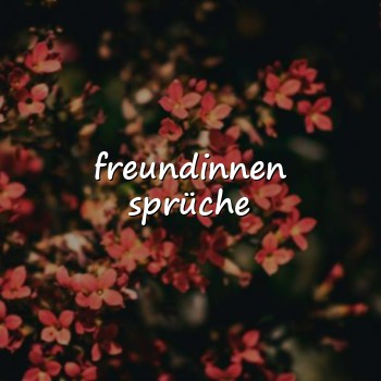 freundinnen sprüche - 2026