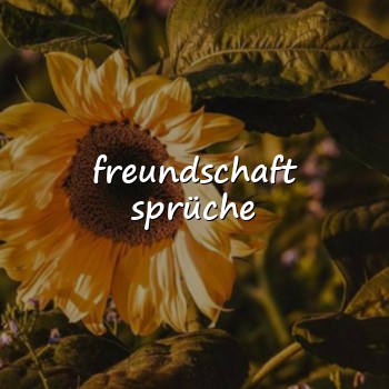 freundschaft sprüche - 2026