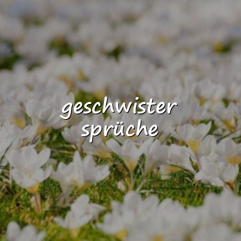 geschwister sprüche - 2026