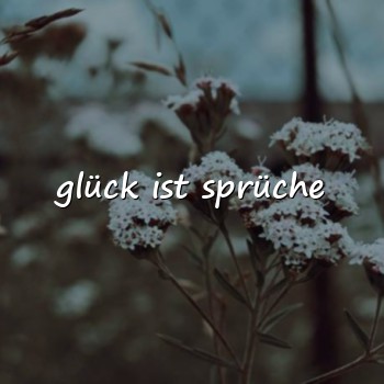 glück ist sprüche - 2026