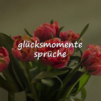 glücksmomente sprüche - 2026