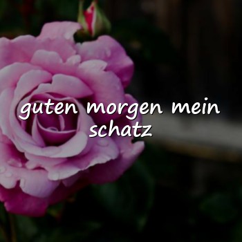 guten morgen mein schatz - 2026