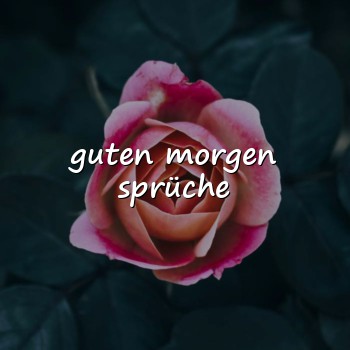 guten morgen sprüche - 2026