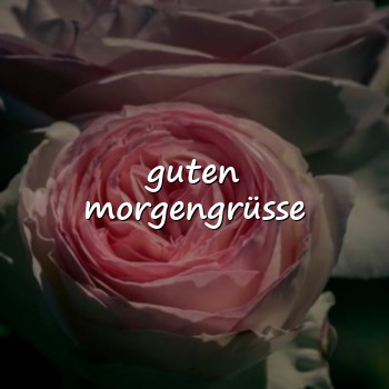 guten morgengrüsse - 2026