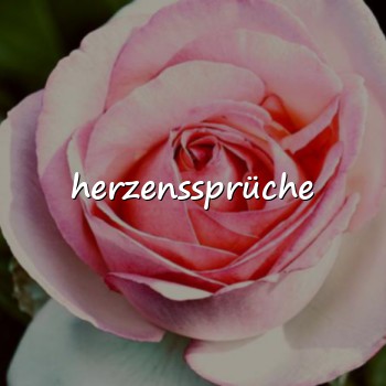 herzenssprüche - 2026