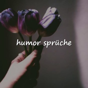 humor sprüche - 2026