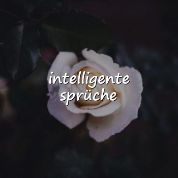 intelligente sprüche - 2026