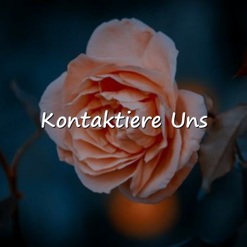 Kontaktiere Uns - 2026