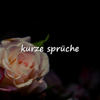 kurze sprüche - 2026