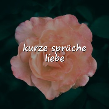 kurze sprüche liebe - 2026