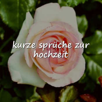 kurze sprüche zur hochzeit - 2026