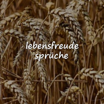 lebensfreude sprüche - 2026
