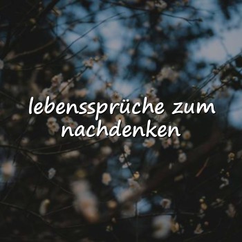 lebenssprüche zum nachdenken - 2026