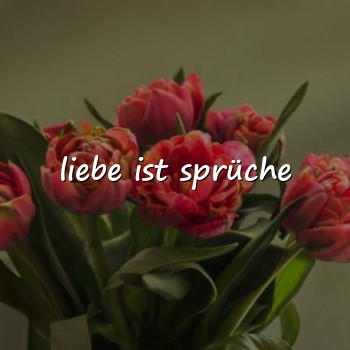 liebe ist sprüche - 2026