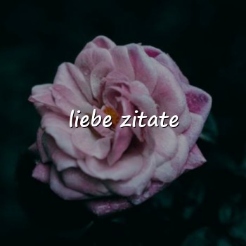 liebe zitate - 2026