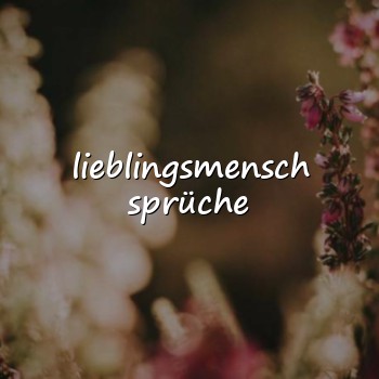 lieblingsmensch sprüche - 2026