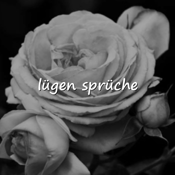 lügen sprüche - 2026