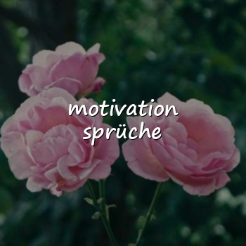 motivation sprüche - 2026