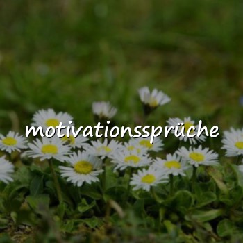 motivationssprüche - 2026