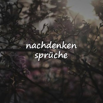 nachdenken sprüche - 2026