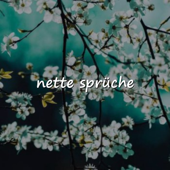 nette sprüche - 2026