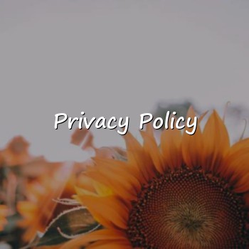 Privacy Policy - 2026