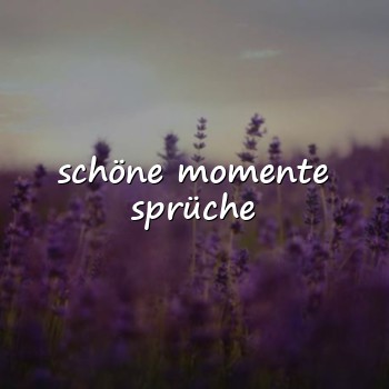 schöne momente sprüche - 2026