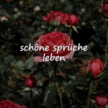 schöne sprüche leben - 2026