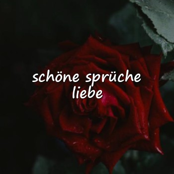 schöne sprüche liebe - 2026
