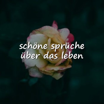 schöne sprüche über das leben - 2026