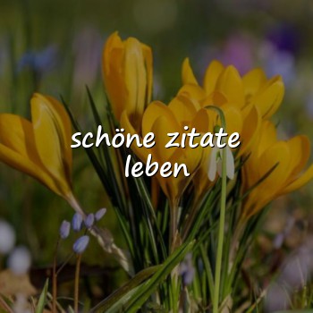 schöne zitate leben - 2026