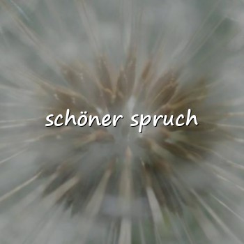 schöner spruch - 2026