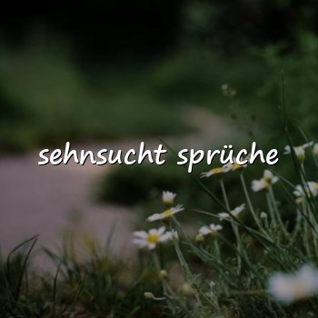 sehnsucht sprüche - 2026