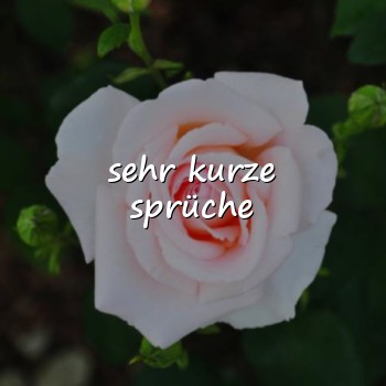 sehr kurze sprüche - 2026