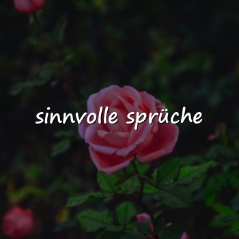 sinnvolle sprüche - 2026