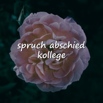 spruch abschied kollege - 2026