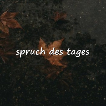 spruch des tages - 2026