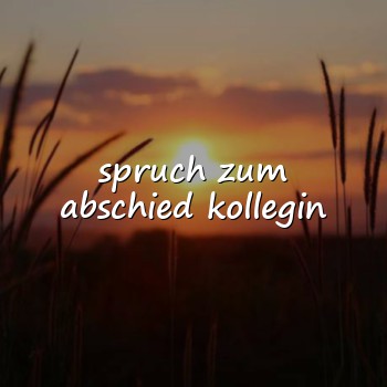 spruch zum abschied kollegin - 2026