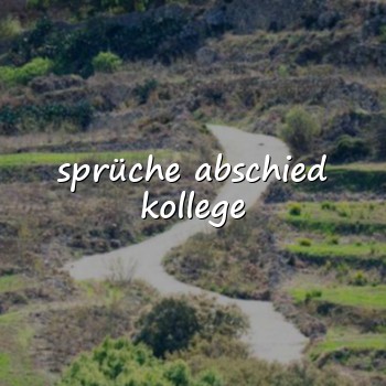 sprüche abschied kollege - 2026
