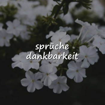 sprüche dankbarkeit - 2026