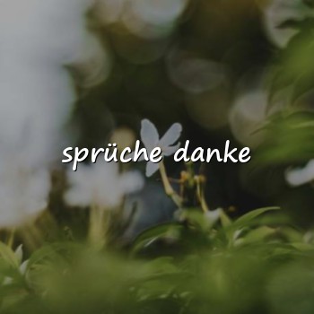 sprüche danke - 2026